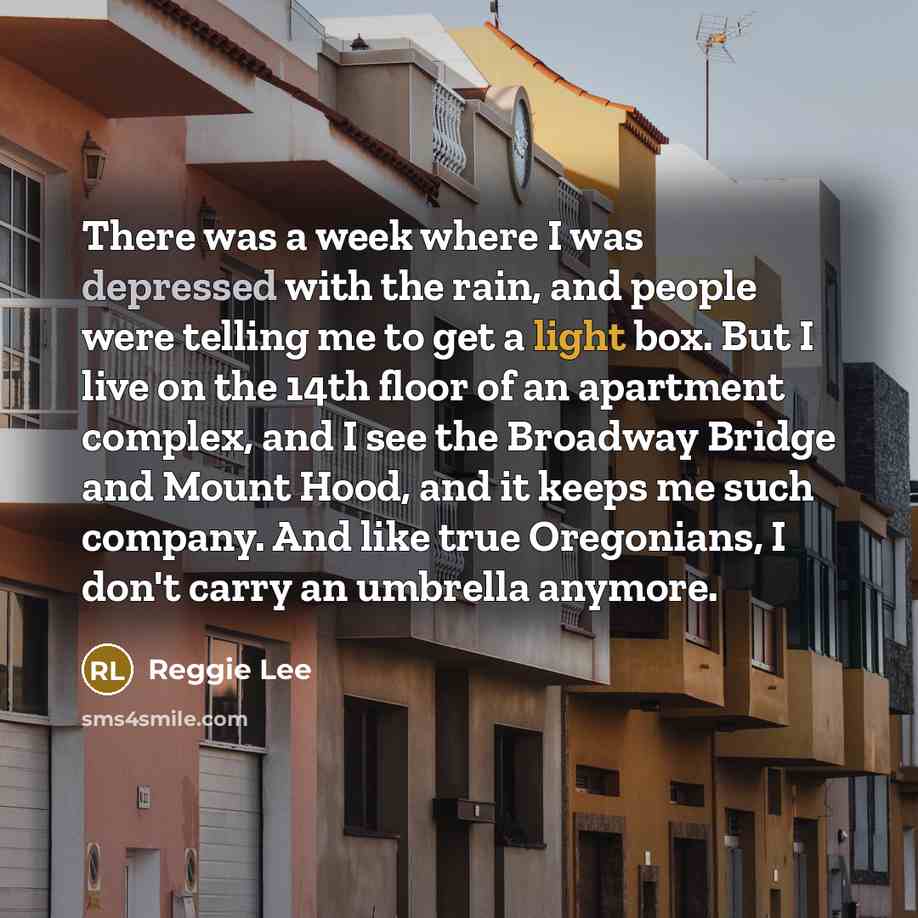 “There was a week where I was depressed with the rain, and people were telling me to get a light box. But I live on the 14th floor of an apartment complex, and I see the Broadway Bridge and Mount Hood, and it keeps me such company. And like true Oregonians, I don't carry an umbrella anymore.” quote by Reggie Lee