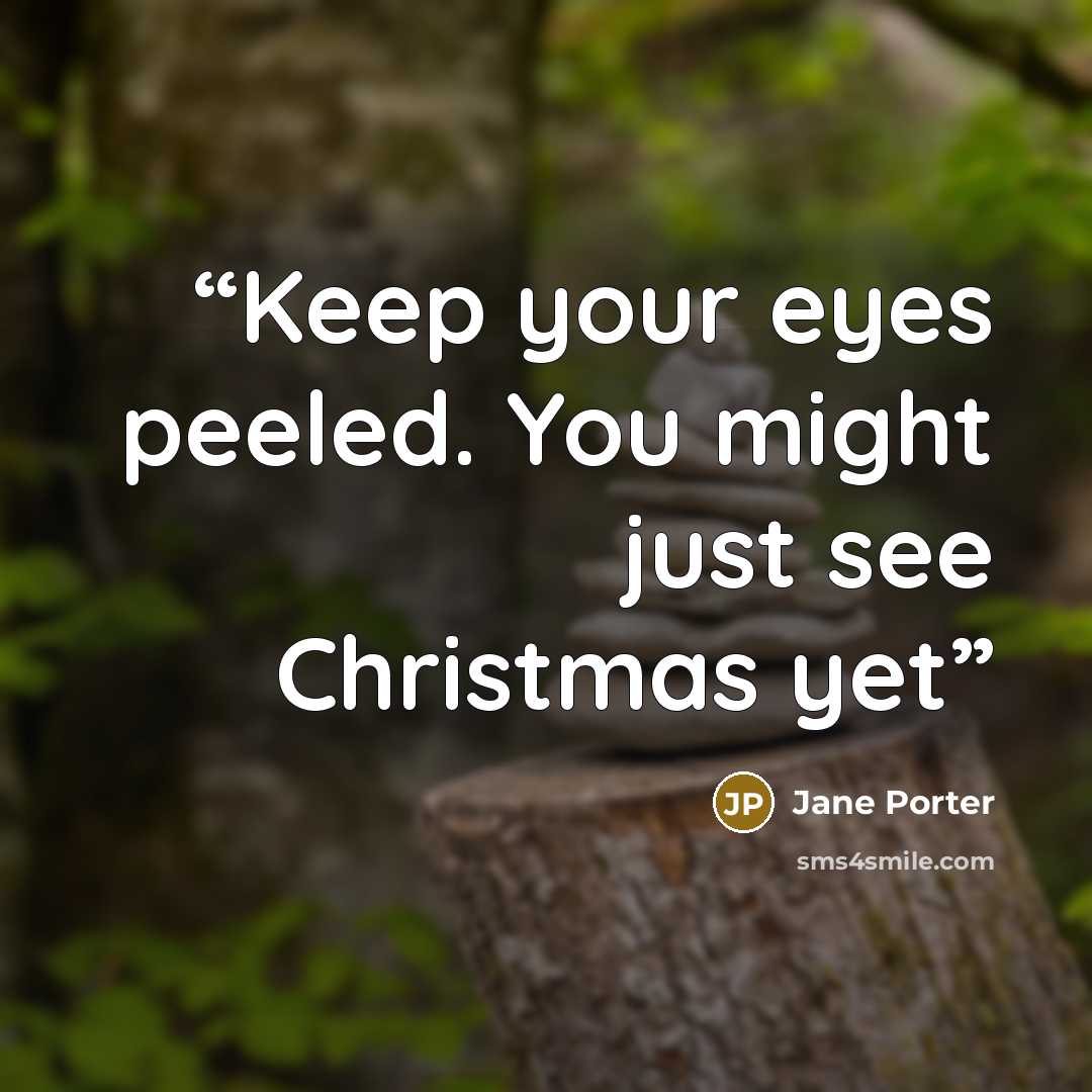 “Keep your eyes peeled. You might just see Christmas yet” quote by Jane Porter