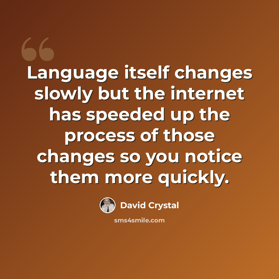 “Language itself changes slowly but the internet has speeded up the process of those changes so you notice them more quickly.” quote by David Crystal