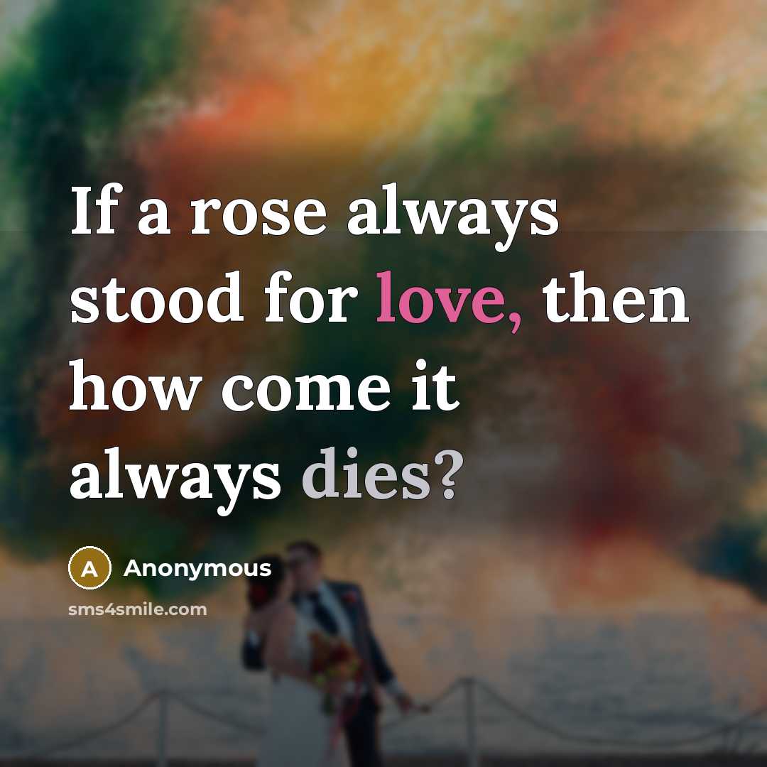 “If a rose always stood for love, then how come it always dies?” quote by Anonymous