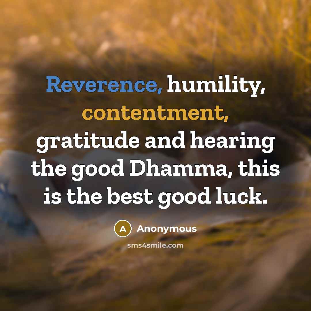 “Reverence, humility, contentment, gratitude and hearing the good Dhamma, this is the best good luck.” quote by Anonymous