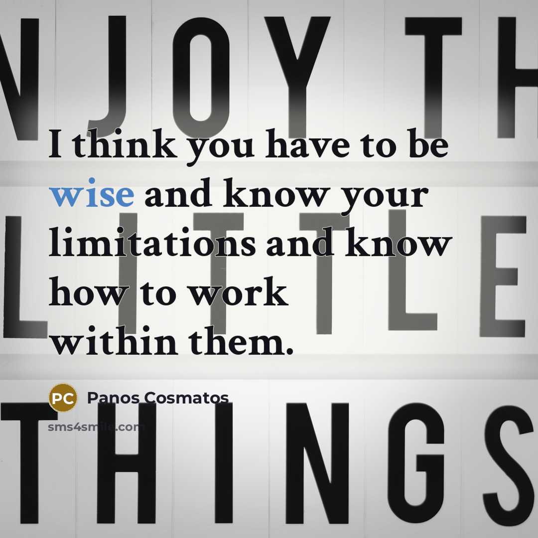 “I think you have to be wise and know your limitations and know how to work within them.” quote by Panos Cosmatos