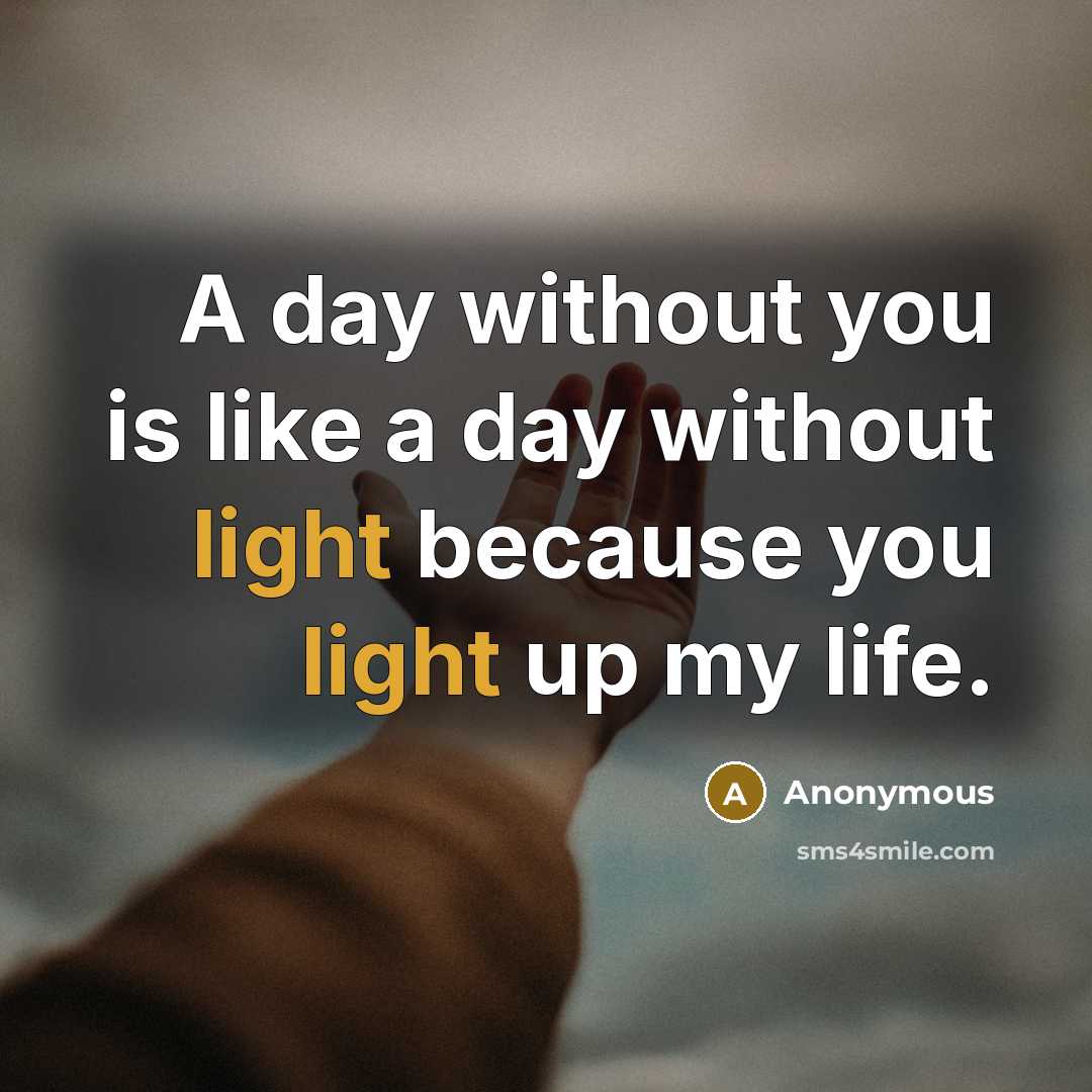 “A day without you is like a day without light because you light up my life.” quote by Anonymous