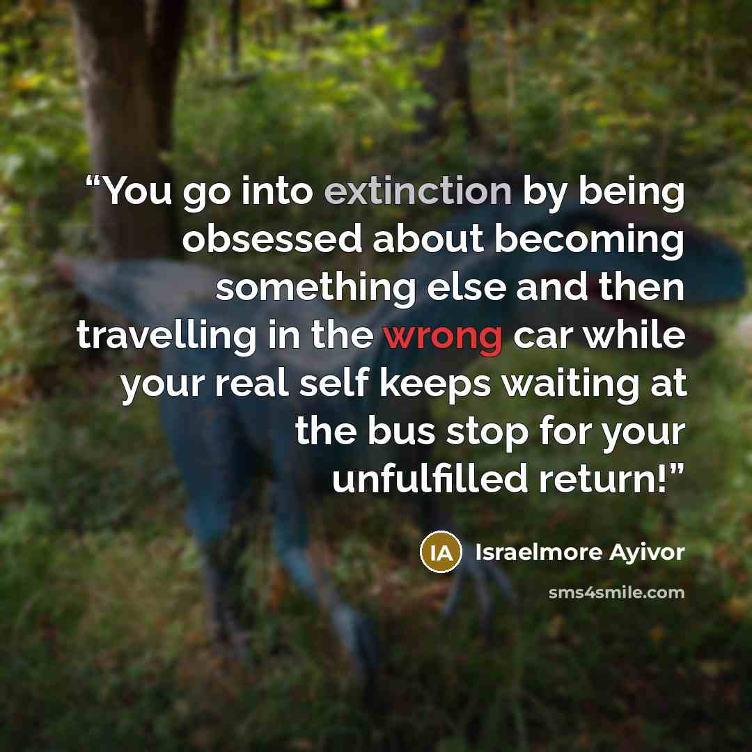 “You go into extinction by being obsessed about becoming something else and then travelling in the wrong car while your real self keeps waiting at the bus stop for your unfulfilled return!” quote by Israelmore Ayivor