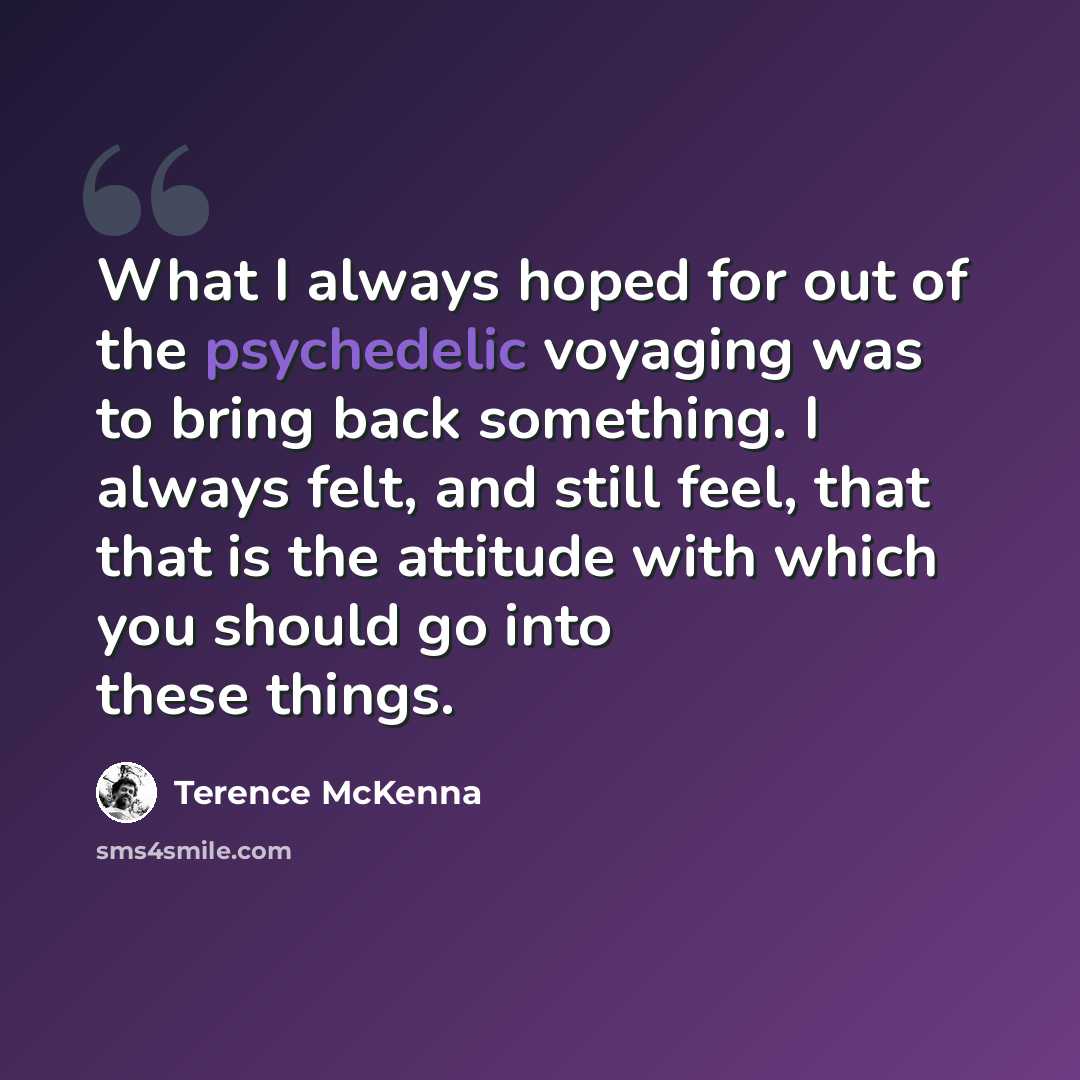 “What I always hoped for out of the psychedelic voyaging was to bring back something. I always felt, and still feel, that that is the attitude with which you should go into these things.” quote by Terence McKenna
