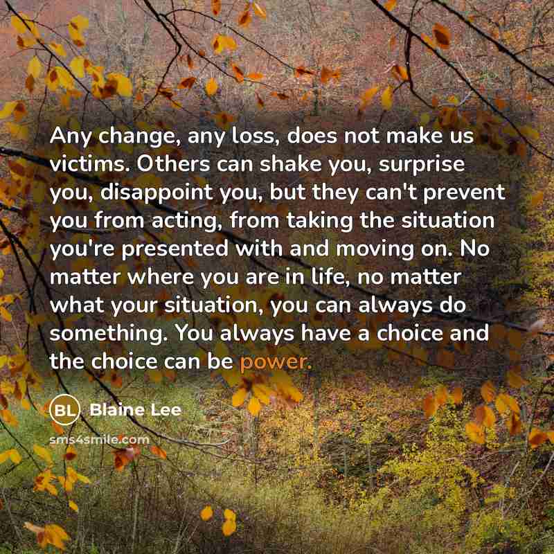 “Any change, any loss, does not make us victims. Others can shake you, surprise you, disappoint you, but they can't prevent you from acting, from taking the situation you're presented with and moving on. No matter where you are in life, no matter what your situation, you can always do something…” quote by Blaine Lee