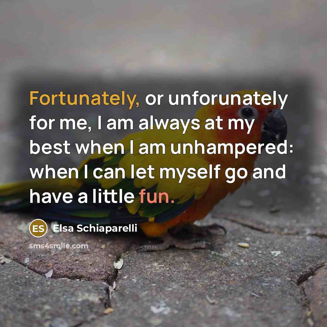 “Fortunately, or unforunately for me, I am always at my best when I am unhampered: when I can let myself go and have a little fun.” quote by Elsa Schiaparelli