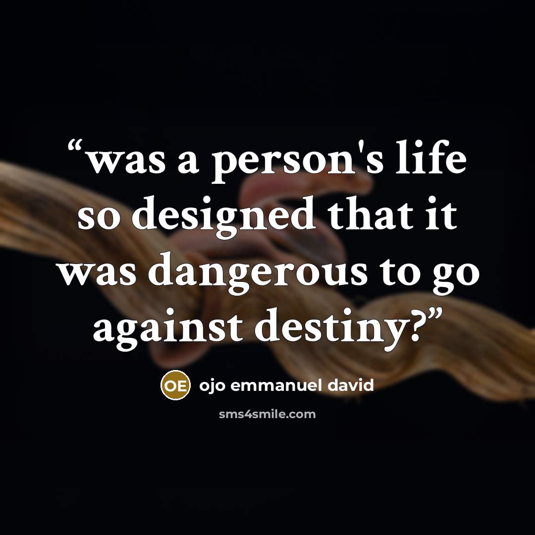 “was a person's life so designed that it was dangerous to go against destiny?” quote by ojo emmanuel david