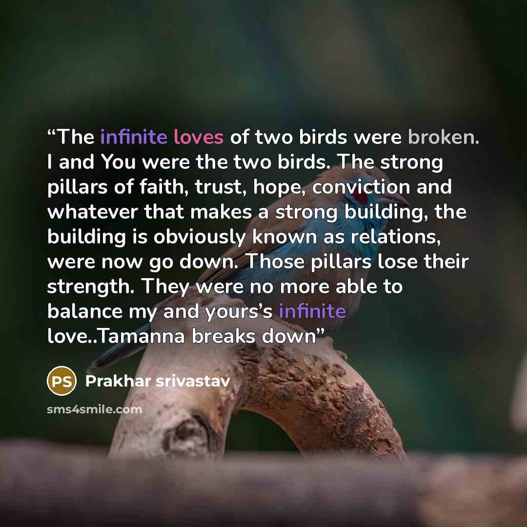 “The infinite loves of two birds were broken. I and You were the two birds. The strong pillars of faith, trust, hope, conviction and whatever that makes a strong building, the building is obviously known as relations, were now go down. Those pillars lose their strength. They were no more able to…” quote by Prakhar Srivastav