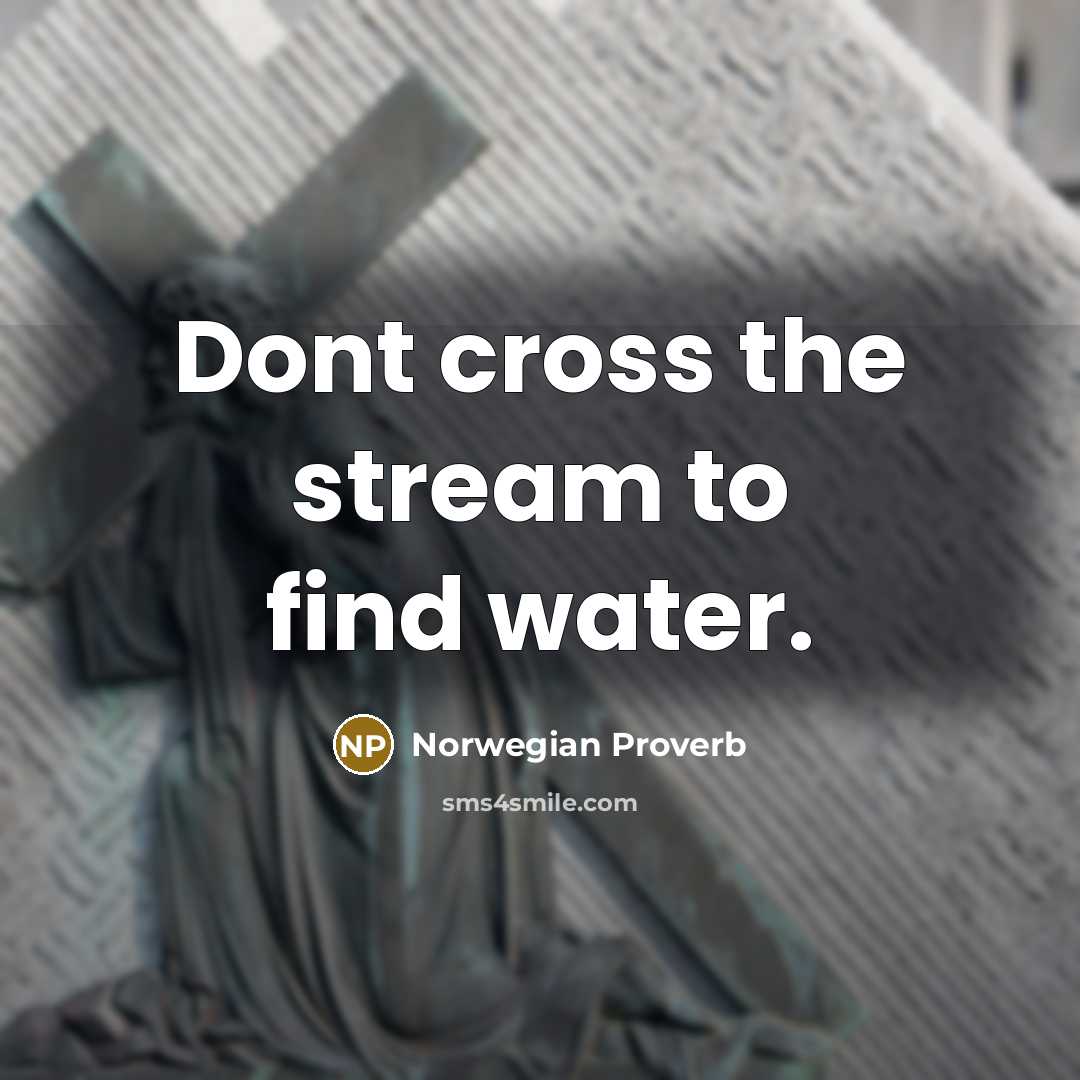 “Dont cross the stream to find water.” quote by Norwegian Proverb