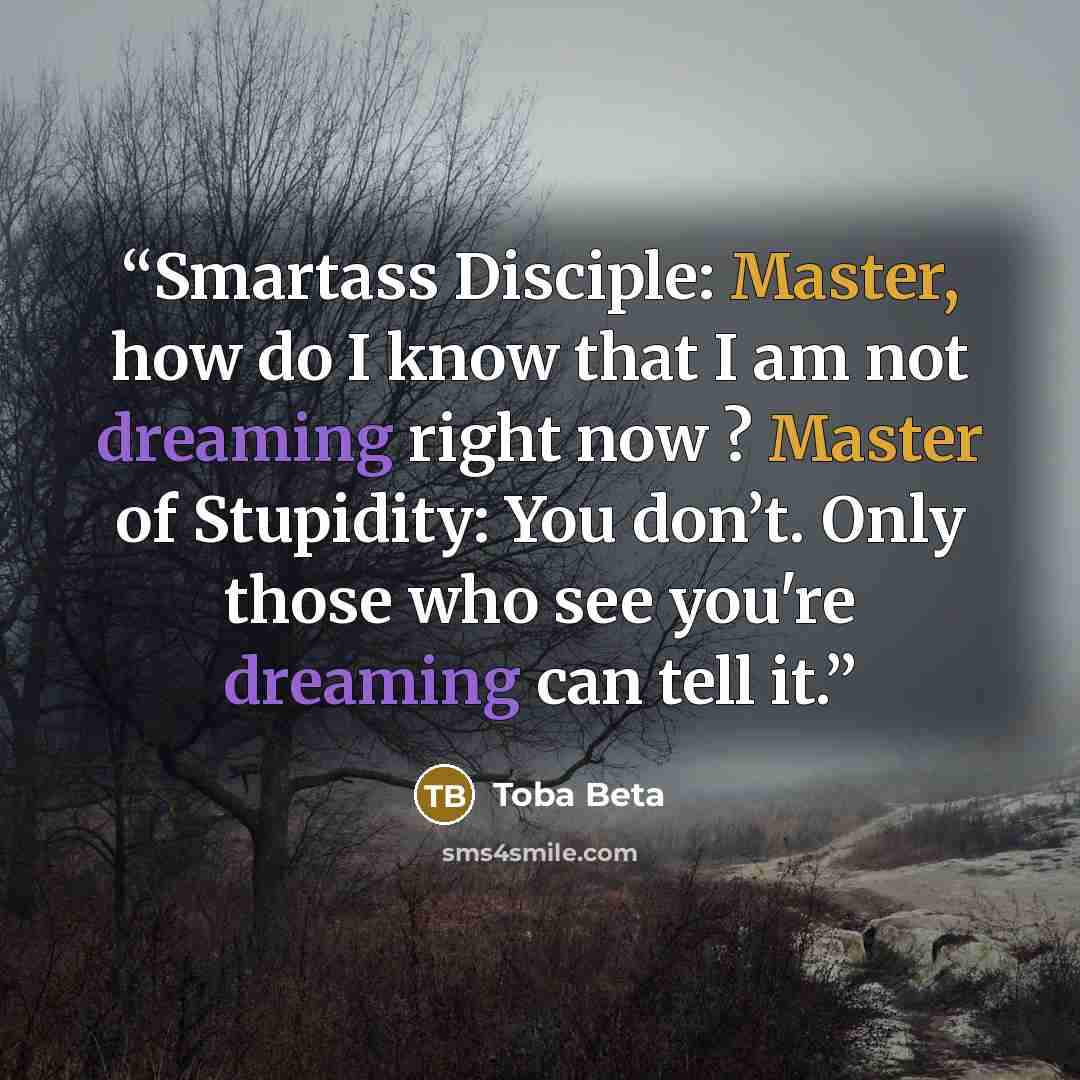 “Smartass Disciple: Master, how do I know that I am not dreaming right now ? Master of Stupidity: You don’t. Only those who see you're dreaming can tell it.” quote by Toba Beta