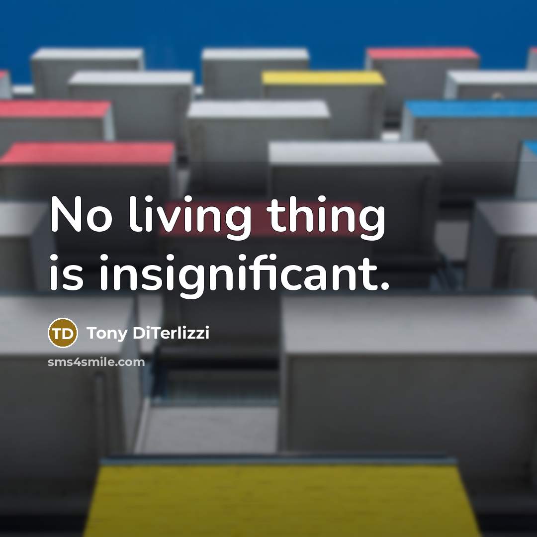 “No living thing is insignificant.” quote by Tony DiTerlizzi