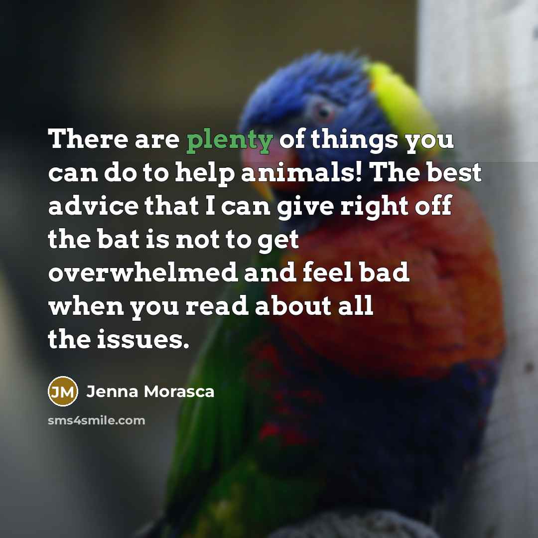 “There are plenty of things you can do to help animals! The best advice that I can give right off the bat is not to get overwhelmed and feel bad when you read about all the issues.” quote by Jenna Morasca
