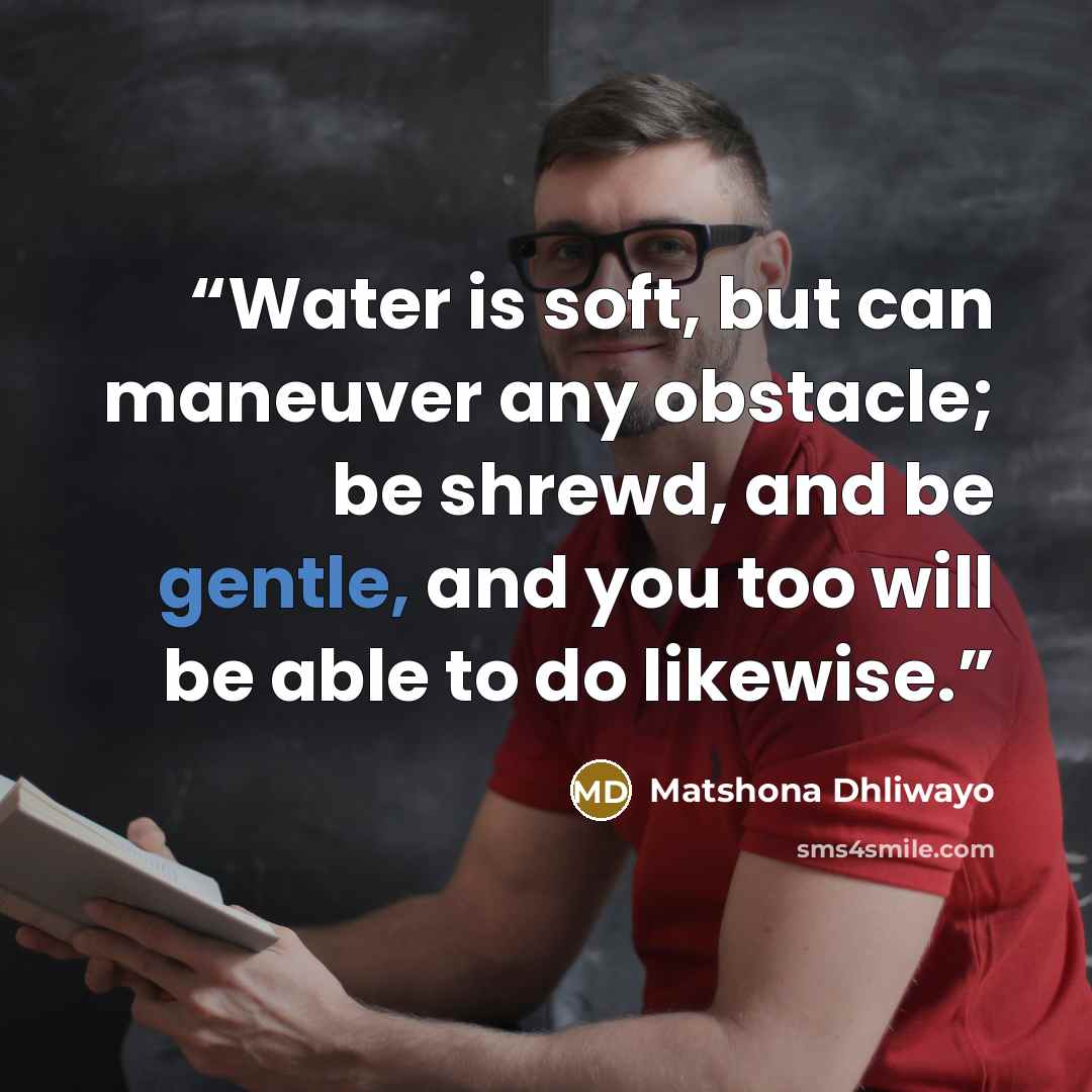 “Water is soft, but can maneuver any obstacle; be shrewd, and be gentle, and you too will be able to do likewise.” quote by Matshona Dhliwayo