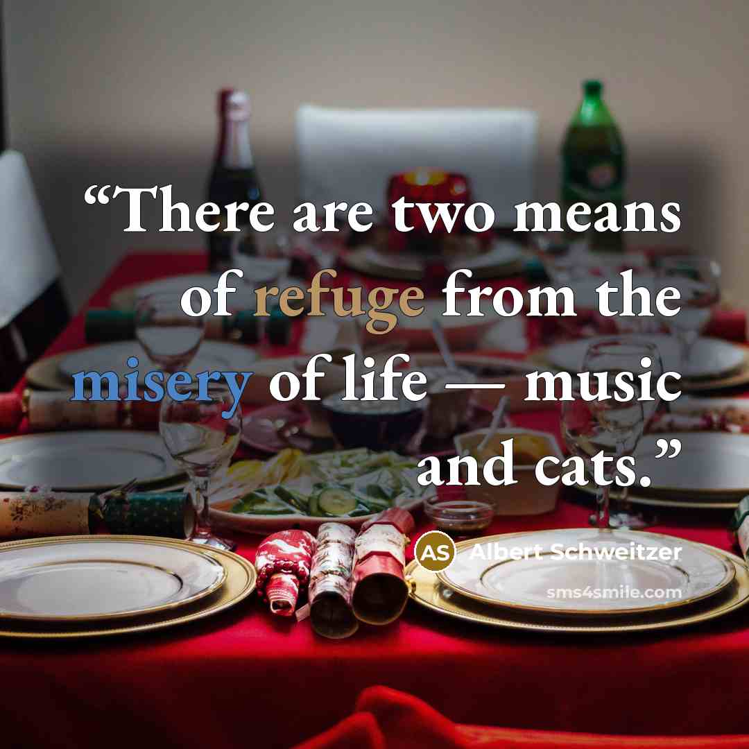 “There are two means of refuge from the misery of life — music and cats.” quote by Albert Schweitzer
