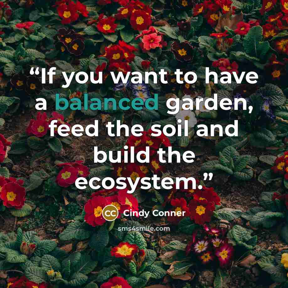 “If you want to have a balanced garden, feed the soil and build the ecosystem.” quote by Cindy Conner