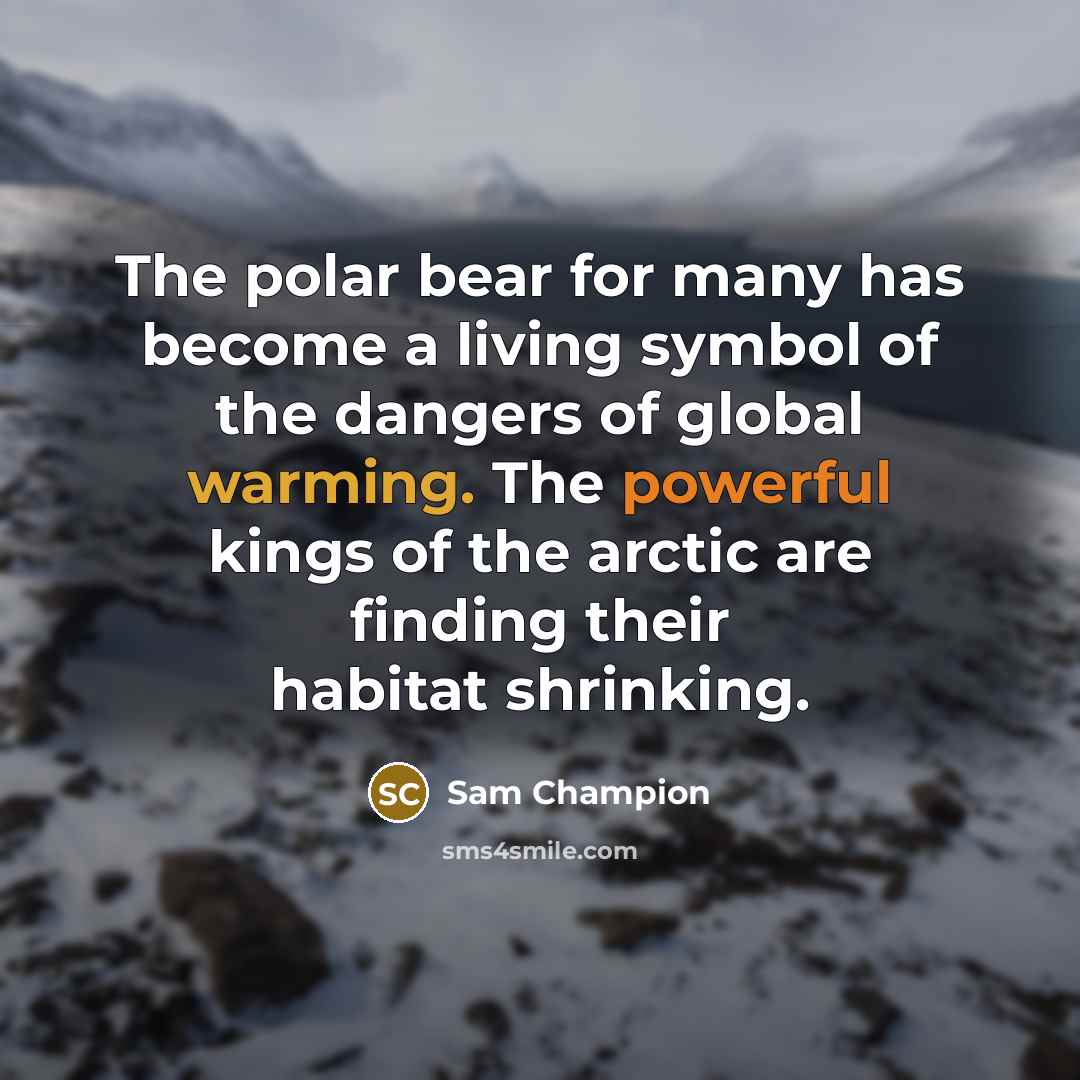 “The polar bear for many has become a living symbol of the dangers of global warming. The powerful kings of the arctic are finding their habitat shrinking.” quote by Sam Champion