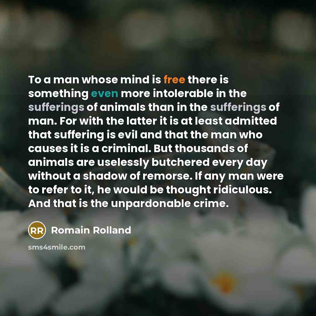 “To a man whose mind is free there is something even more intolerable in the sufferings of animals than in the sufferings of man. For with the latter it is at least admitted that suffering is evil and that the man who causes it is a criminal. But thousands of animals are uselessly butchered every…” quote by Romain Rolland