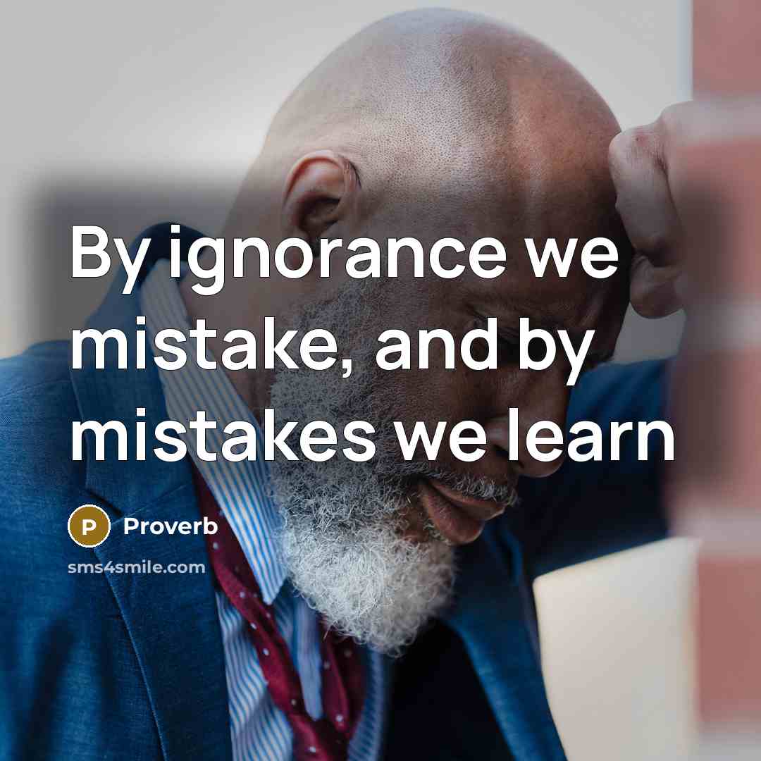 “By ignorance we mistake, and by mistakes we learn” quote by Proverb