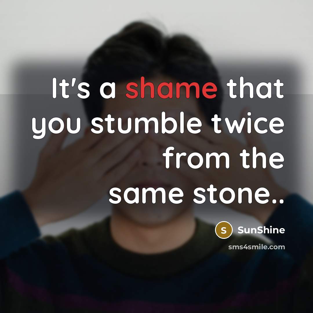 “It's a shame that you stumble twice from the same stone..” quote by SunShine