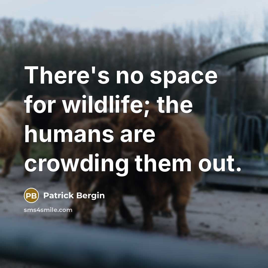 “There's no space for wildlife; the humans are crowding them out.” quote by Patrick Bergin