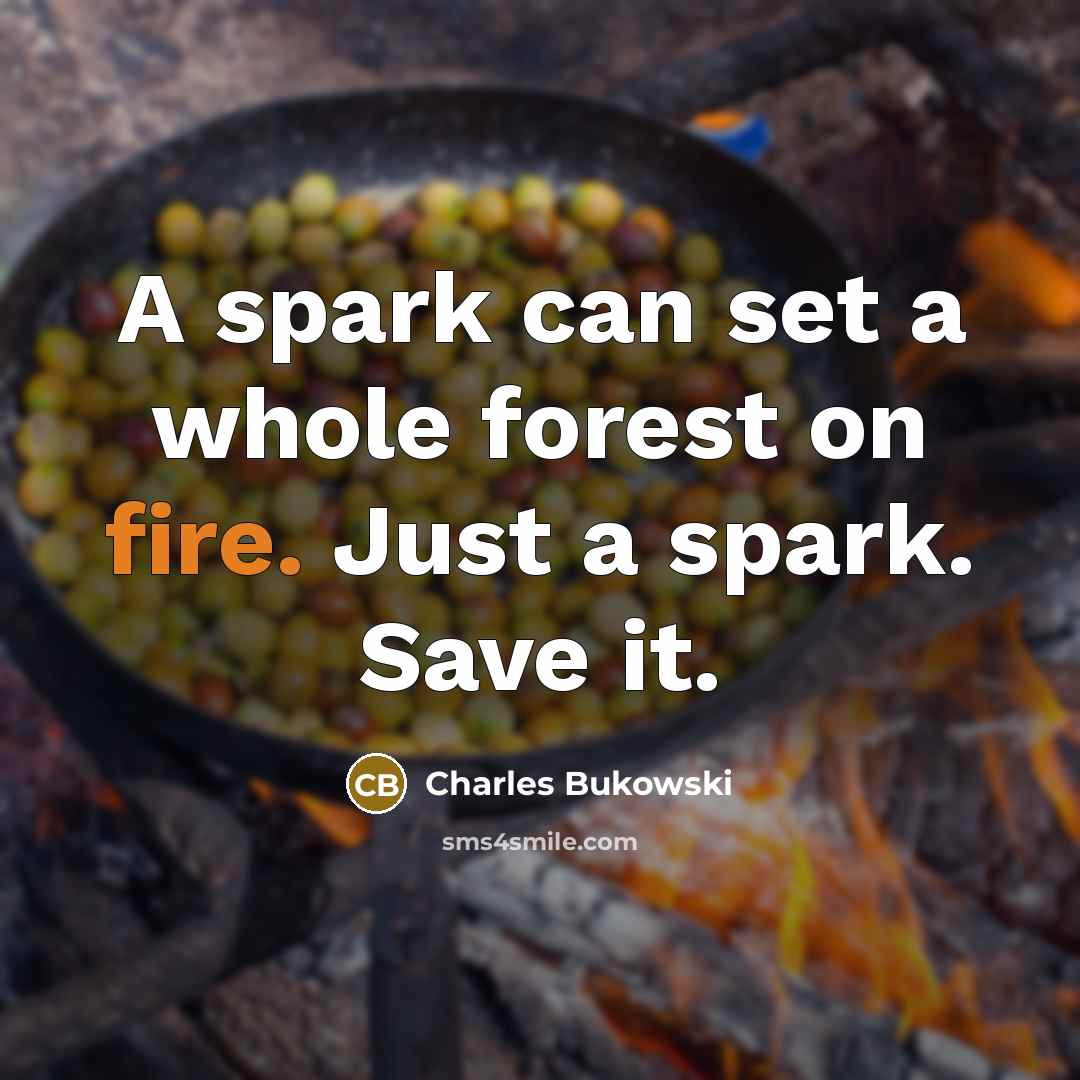 “A spark can set a whole forest on fire. Just a spark. Save it.” quote by Charles Bukowski