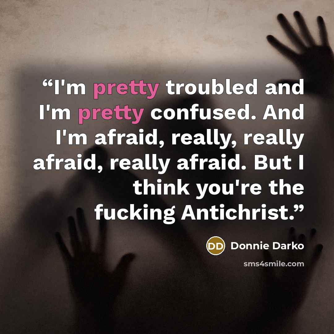 “I'm pretty troubled and I'm pretty confused. And I'm afraid, really, really afraid, really afraid. But I think you're the fucking Antichrist.” quote by Donnie Darko