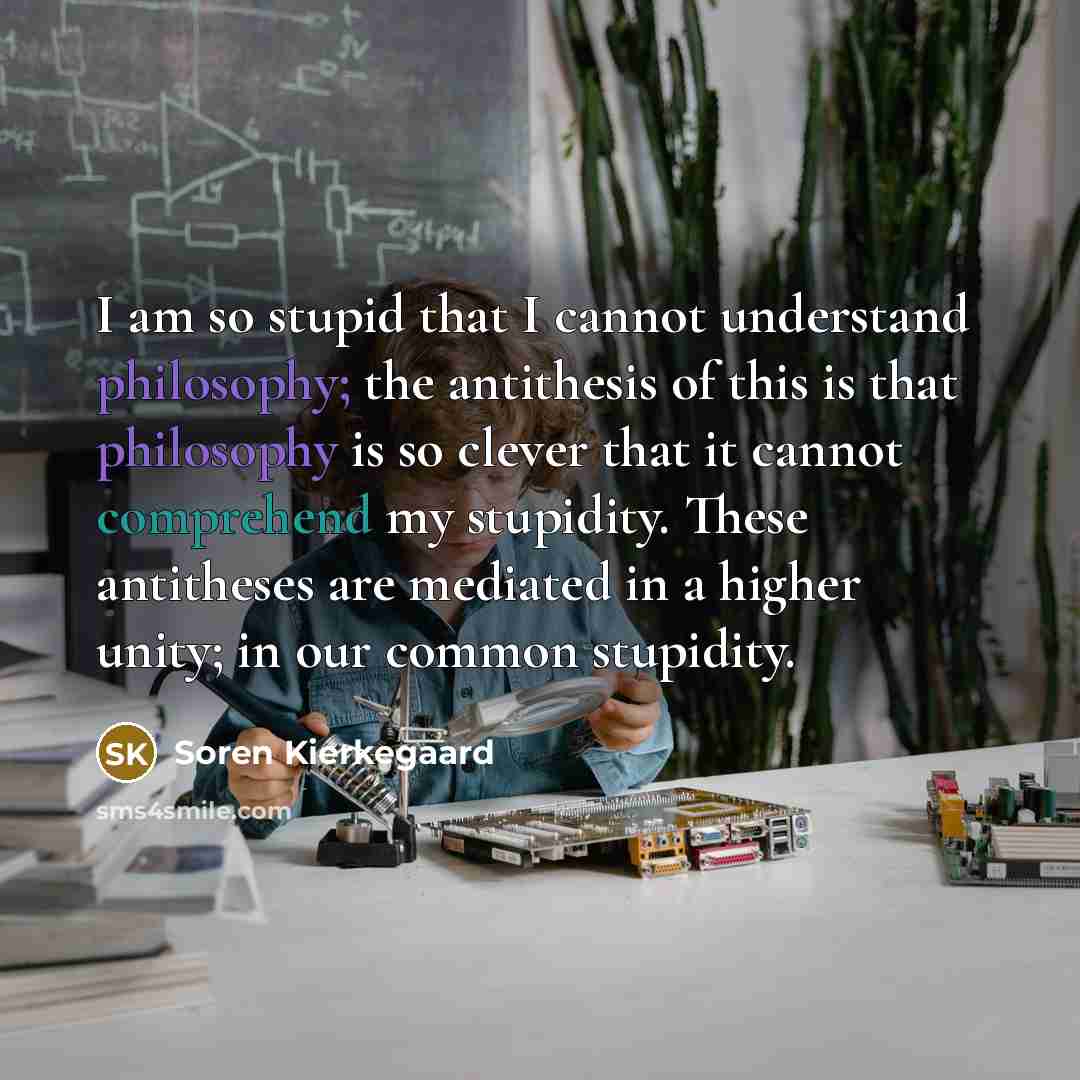 “I am so stupid that I cannot understand philosophy; the antithesis of this is that philosophy is so clever that it cannot comprehend my stupidity. These antitheses are mediated in a higher unity; in our common stupidity.” quote by Soren Kierkegaard