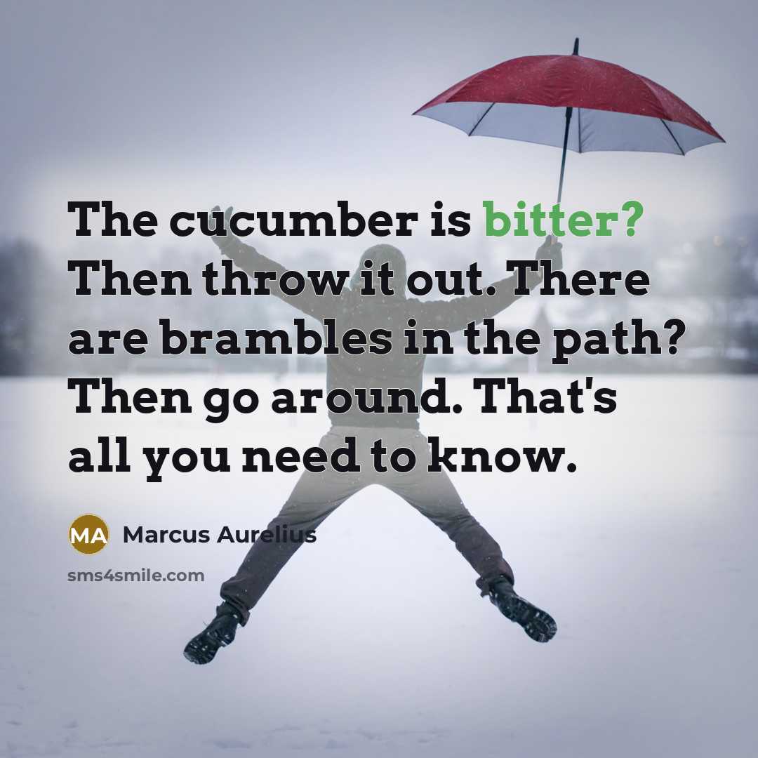 “The cucumber is bitter? Then throw it out. There are brambles in the path? Then go around. That's all you need to know.” quote by Marcus Aurelius