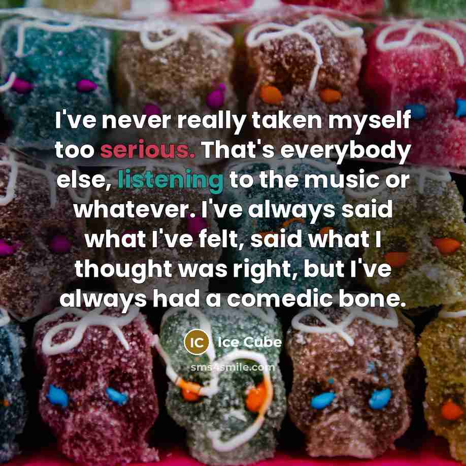 “I've never really taken myself too serious. That's everybody else, listening to the music or whatever. I've always said what I've felt, said what I thought was right, but I've always had a comedic bone.” quote by Ice Cube