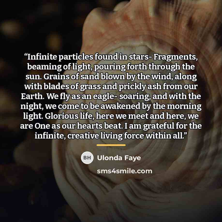 “Infinite particles found in stars- Fragments, beaming of light, pouring forth through the sun. Grains of sand blown by the wind, along with blades of grass and prickly ash from our Earth. We fly as an eagle- soaring, and with the night, we come to be awakened by the morning light. Glorious life…” quote by Ulonda Faye