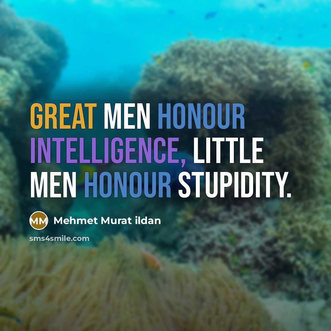 “Great men honour intelligence, little men honour stupidity.” quote by Mehmet Murat Ildan