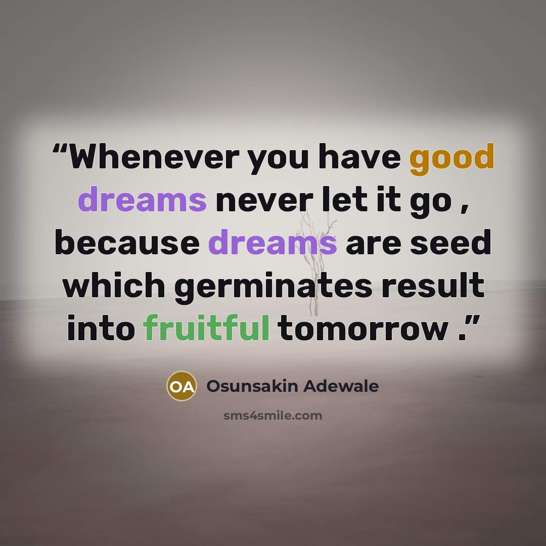 “Whenever you have good dreams never let it go , because dreams are seed which germinates result into fruitful tomorrow .” quote by Osunsakin Adewale