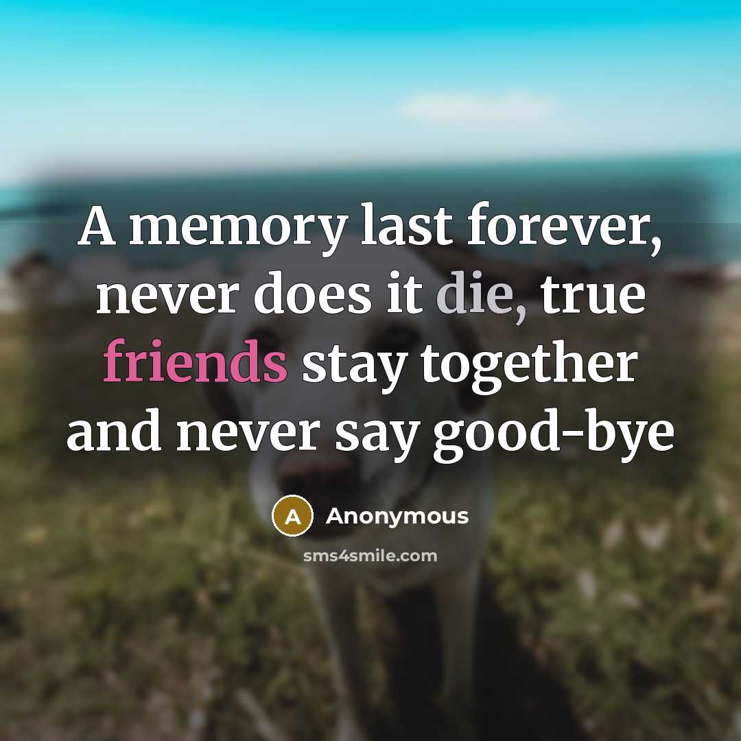“A memory last forever, never does it die, true friends stay together and never say good-bye” quote by Anonymous