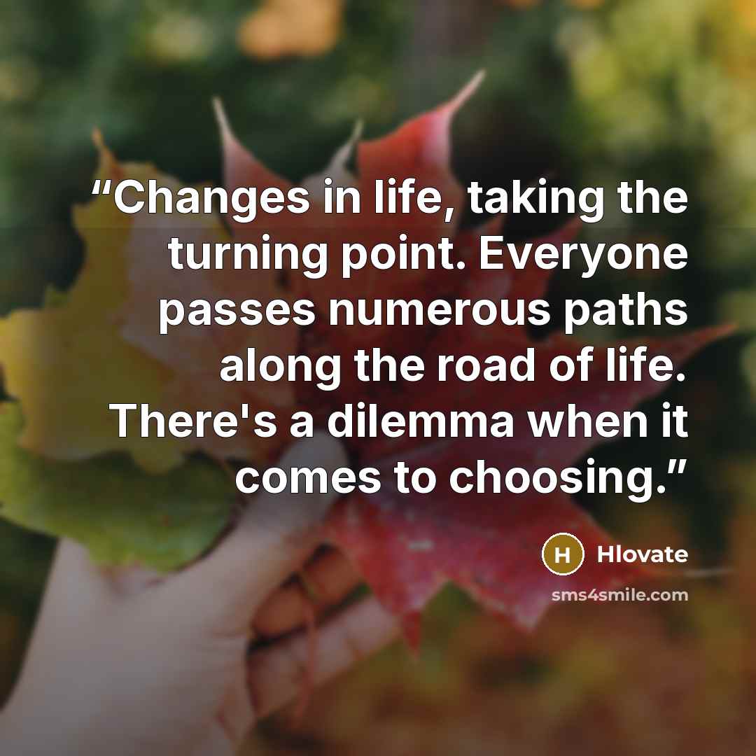 “Changes in life, taking the turning point. Everyone passes numerous paths along the road of life. There's a dilemma when it comes to choosing.” quote by Hlovate