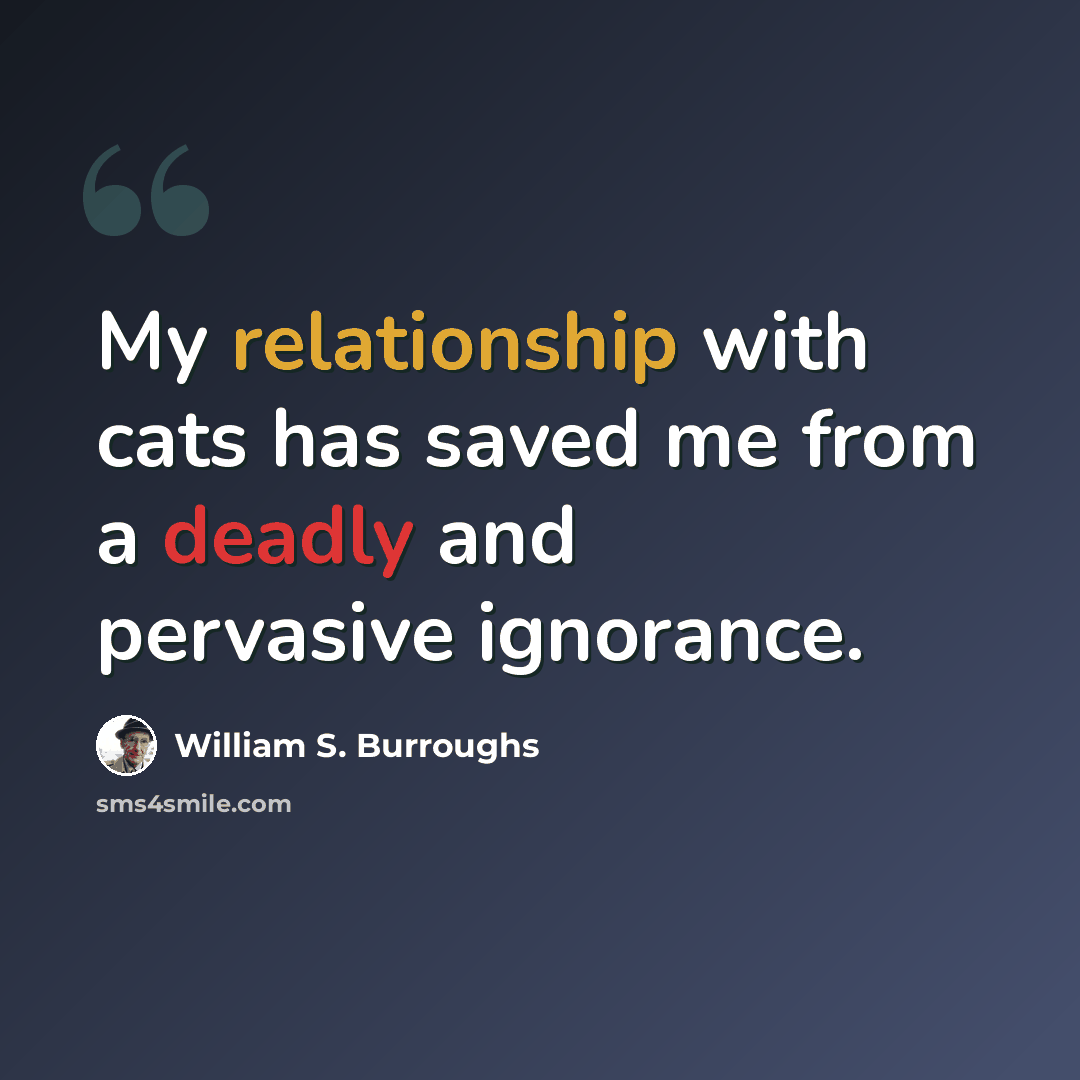 “My relationship with cats has saved me from a deadly and pervasive ignorance.” quote by William S. Burroughs