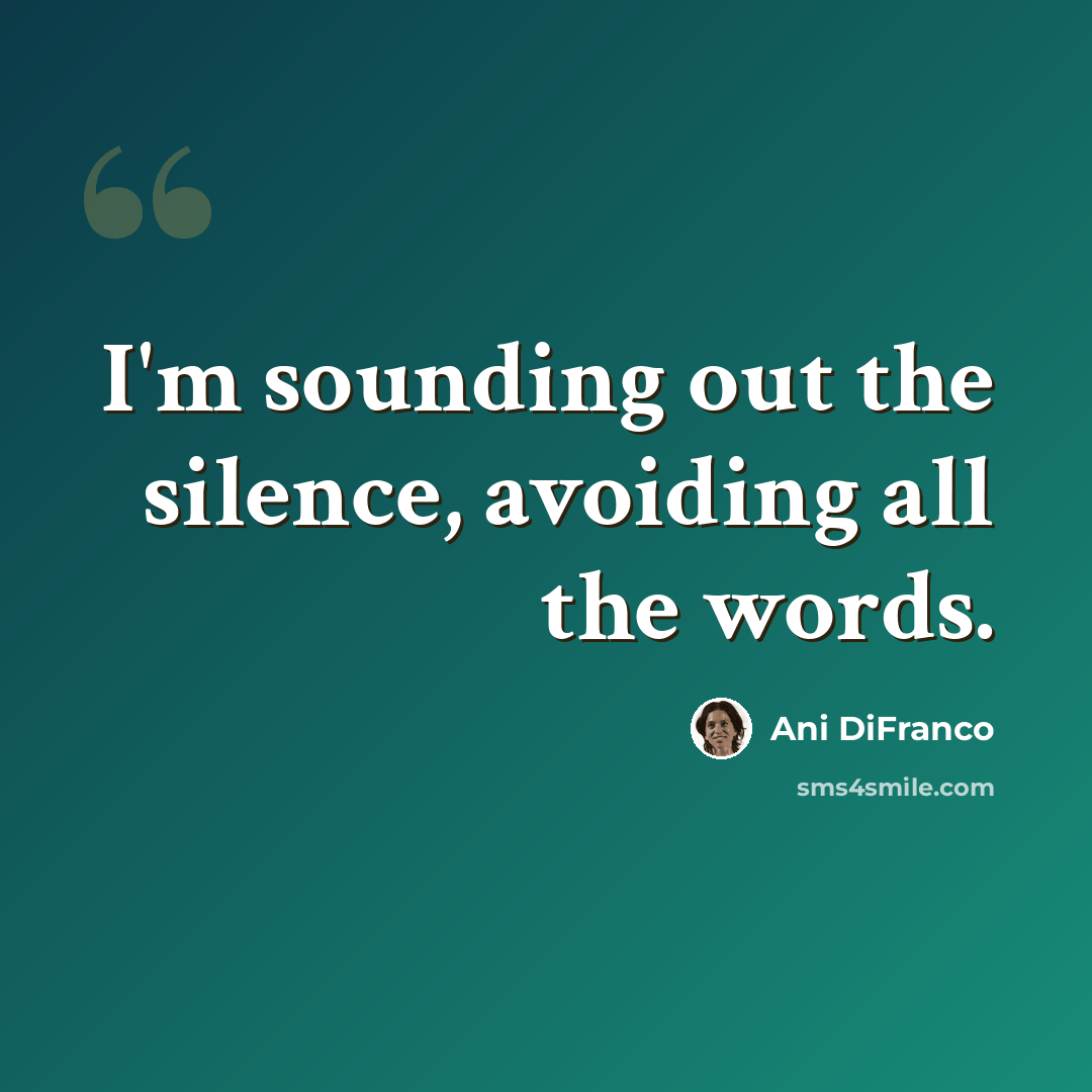 “I'm sounding out the silence, avoiding all the words.” quote by Ani DiFranco