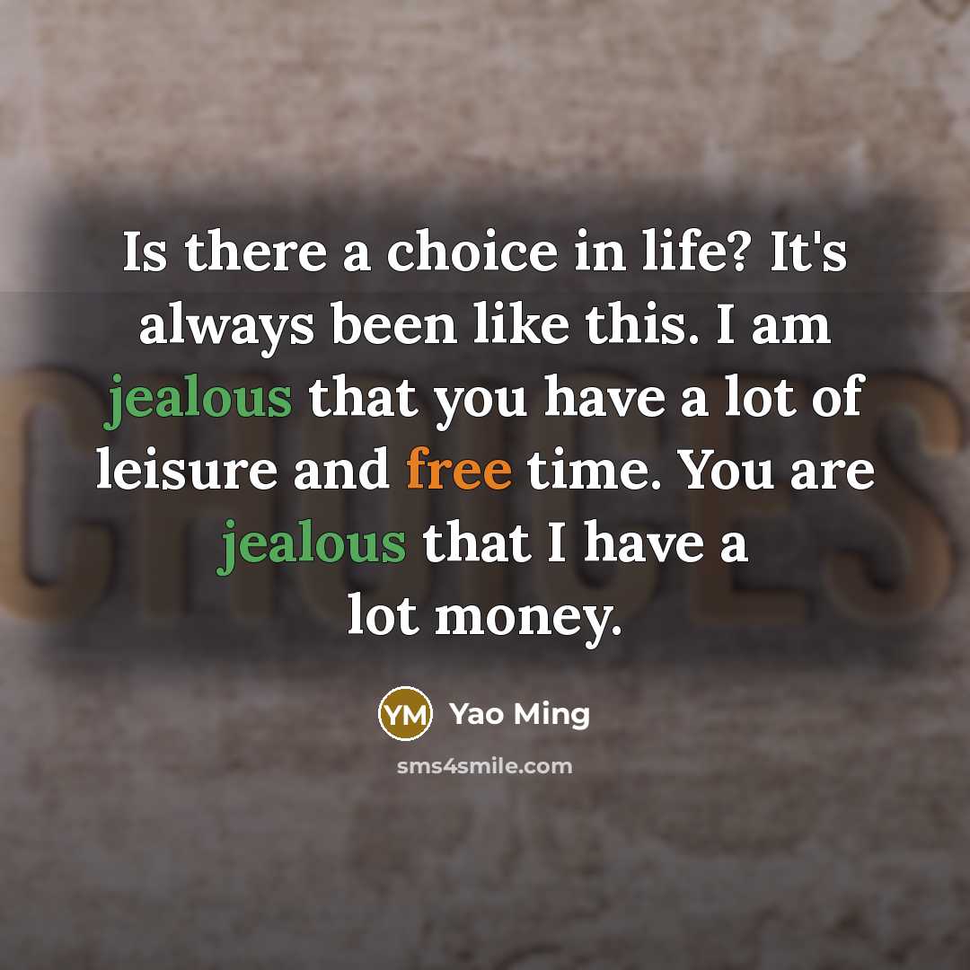 “Is there a choice in life? It's always been like this. I am jealous that you have a lot of leisure and free time. You are jealous that I have a lot money.” quote by Yao Ming