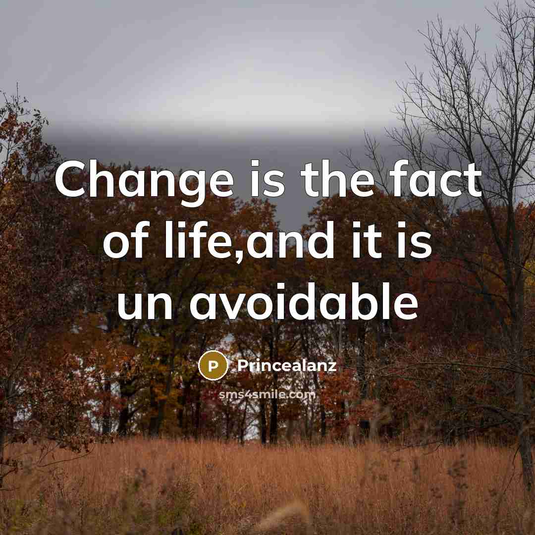 “Change is the fact of life,and it is un avoidable” quote by Princealanz