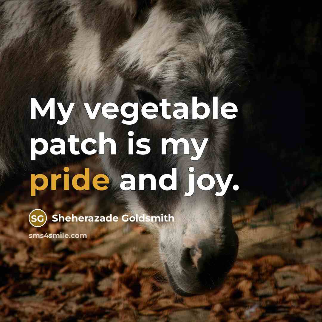 “My vegetable patch is my pride and joy.” quote by Sheherazade Goldsmith