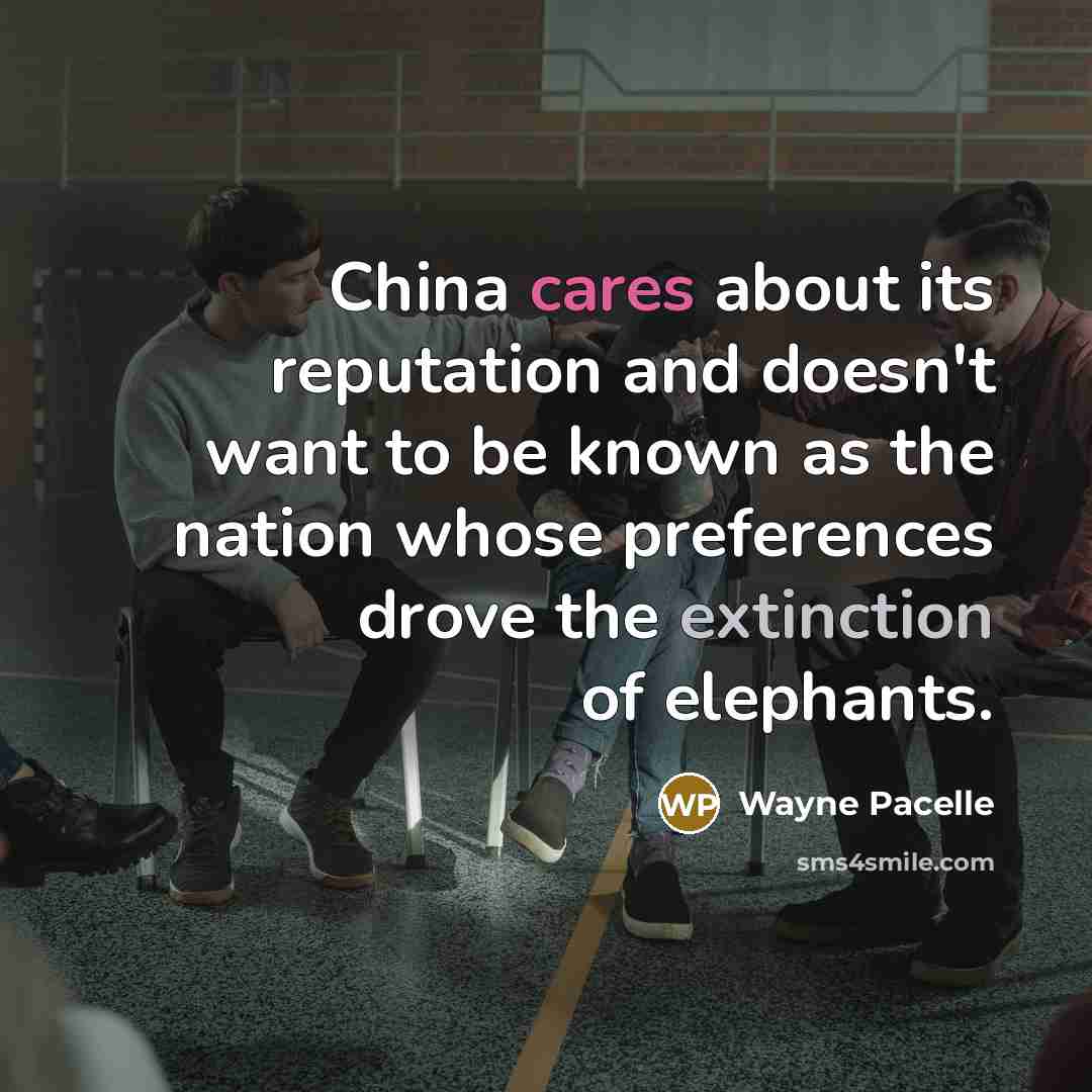 “China cares about its reputation and doesn't want to be known as the nation whose preferences drove the extinction of elephants.” quote by Wayne Pacelle