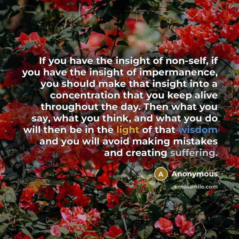 “If you have the insight of non-self, if you have the insight of impermanence, you should make that insight into a concentration that you keep alive throughout the day. Then what you say, what you think, and what you do will then be in the light of that wisdom and you will avoid making mistakes and…” quote by Anonymous