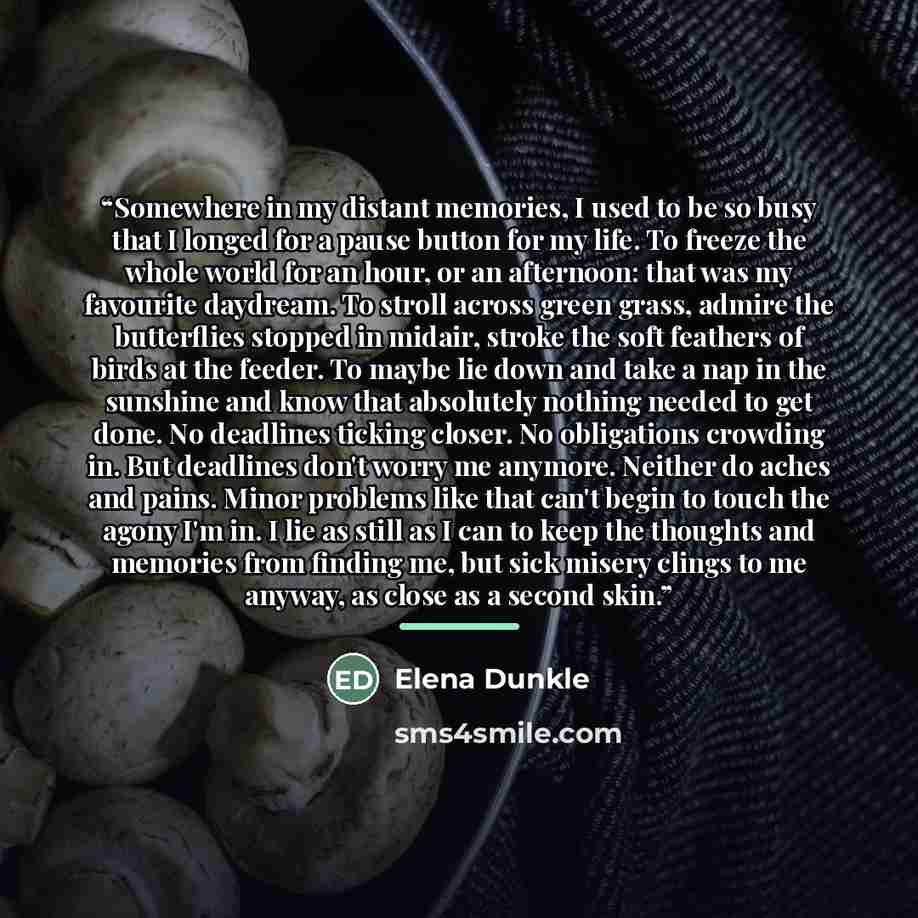 “Somewhere in my distant memories, I used to be so busy that I longed for a pause button for my life. To freeze the whole world for an hour, or an afternoon: that was my favourite daydream. To stroll across green grass, admire the butterflies stopped in midair, stroke the soft feathers of birds at…” quote by Elena Dunkle
