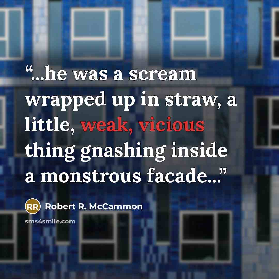 “...he was a scream wrapped up in straw, a little, weak, vicious thing gnashing inside a monstrous facade...” quote by Robert R. McCammon