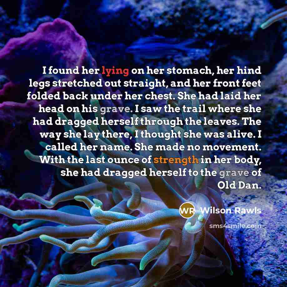 “I found her lying on her stomach, her hind legs stretched out straight, and her front feet folded back under her chest. She had laid her head on his grave. I saw the trail where she had dragged herself through the leaves. The way she lay there, I thought she was alive. I called her name. She made…” quote by Wilson Rawls