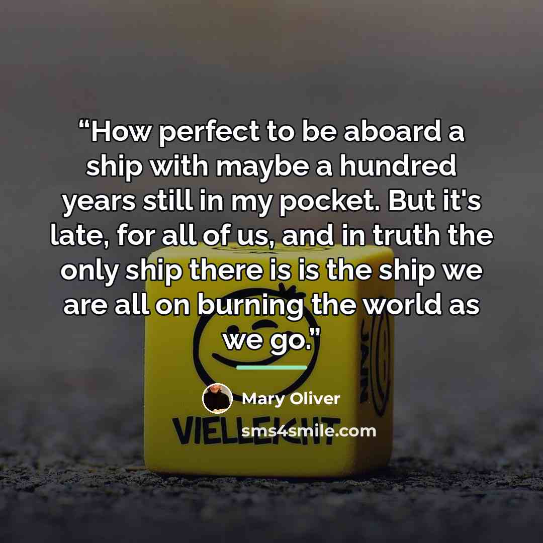 “How perfect to be aboard a ship with maybe a hundred years still in my pocket. But it's late, for all of us, and in truth the only ship there is is the ship we are all on burning the world as we go.” quote by Mary Oliver