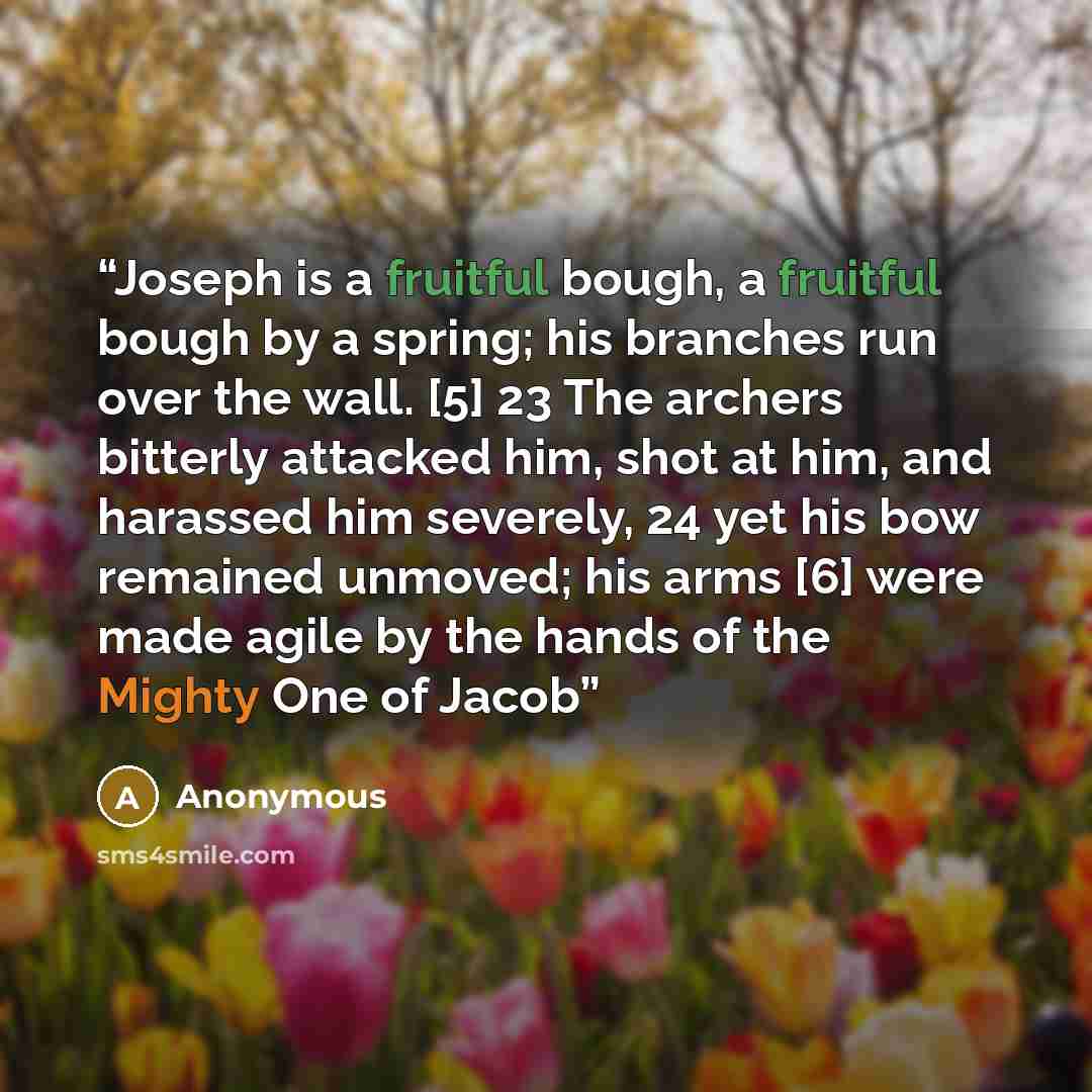 “Joseph is a fruitful bough, a fruitful bough by a spring; his branches run over the wall. [5] 23 The archers bitterly attacked him, shot at him, and harassed him severely, 24 yet his bow remained unmoved; his arms [6] were made agile by the hands of the Mighty One of Jacob” quote by Anonymous
