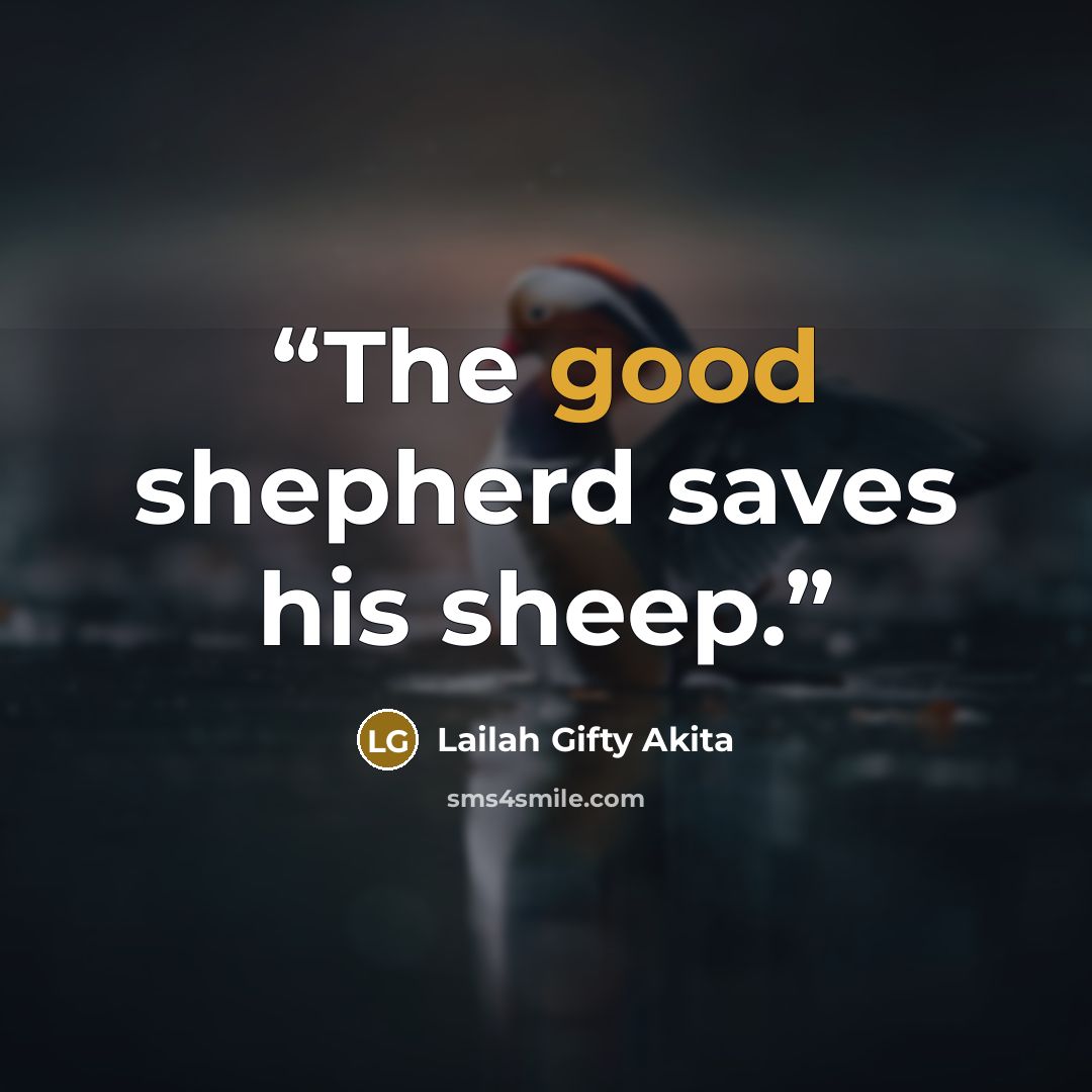 “The good shepherd saves his sheep.” quote by Lailah Gifty Akita
