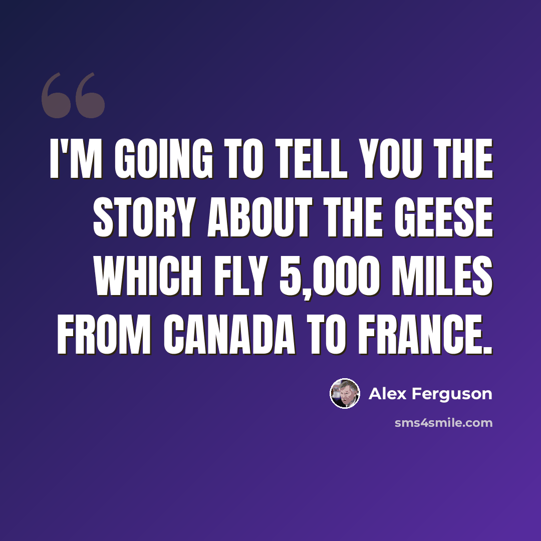 “I'm going to tell you the story about the geese which fly 5,000 miles from Canada to France.” quote by Alex Ferguson