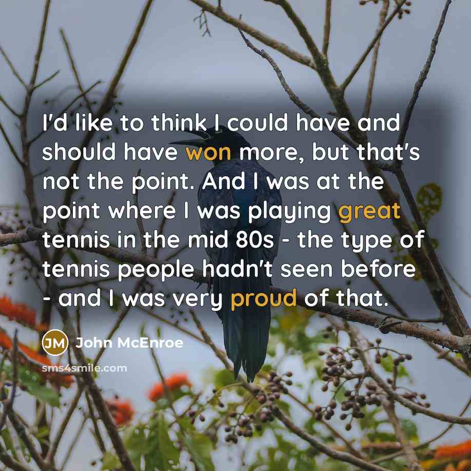 “I'd like to think I could have and should have won more, but that's not the point. And I was at the point where I was playing great tennis in the mid 80s - the type of tennis people hadn't seen before - and I was very proud of that.” quote by John McEnroe